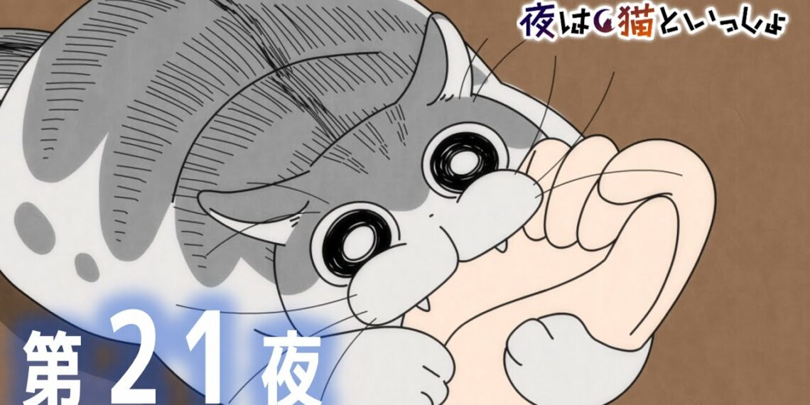 アニメ『夜は猫といっしょ』第21夜「ネコが噛んできた」